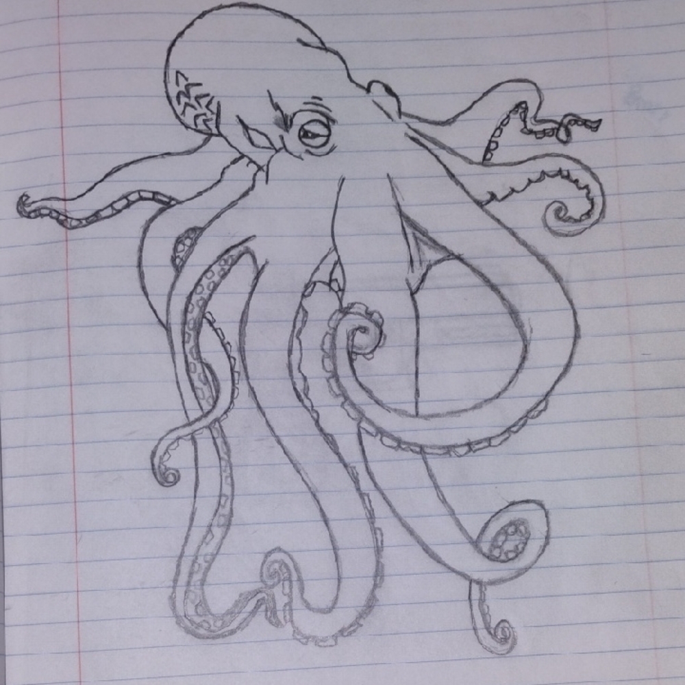 Octopus Sketch Art Print